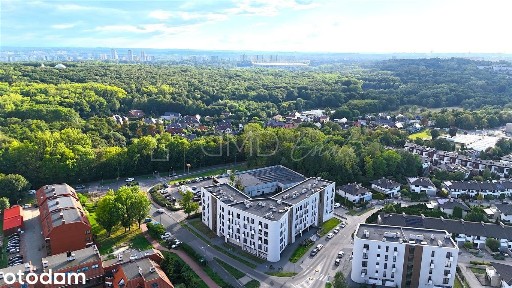 Świerkowa, Chorzów Stary, Chorzów, śląskie