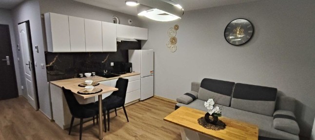 Wynajmę mieszkanie/apartament Rzeszów, Nova Graniczna, dla wymagających 15p
