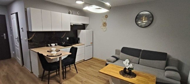 Wynajmę mieszkanie/apartament Rzeszów, Nova Graniczna, dla wymagających 15p