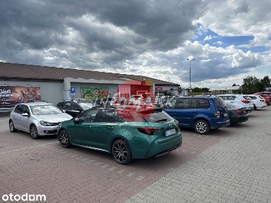 Lokal W Małej Galerii Do Wynajęcie