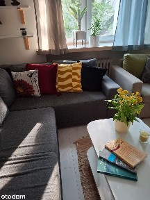 Przytulna kawalerka w znakomitej lokalizacji.