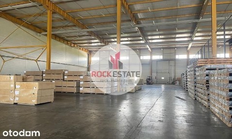 Magazyn na wynajem 2500 m2 - Grzędy