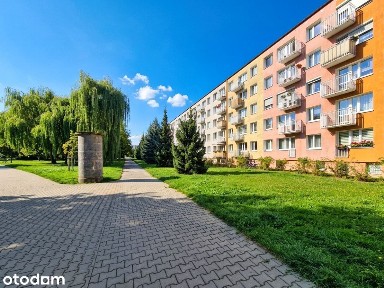 3-pokojowe mieszkanie 53 m² - Poznań, Winogrady (Os. Zwycięstwa)