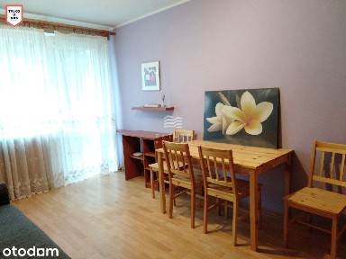 Mieszkanie na Przymorzu, 2 pokoje, ul. Bzowa 1