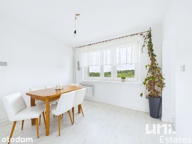 Ruda Śl. Wirek I 3 pokoje, 60,8 m² I do wejścia