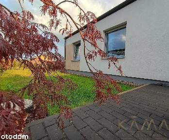 Sprzedam dom w Zbrudzewie