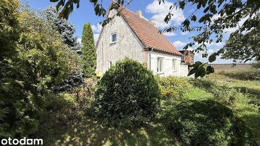 Dom z budynkami gosp. duża działka (sad, ogród), 0,4224 ha-Chrapowo.