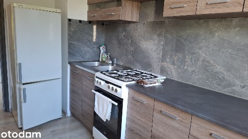 Mieszkanie 3-pokojowe na Tysiącleciu do wynajęcia