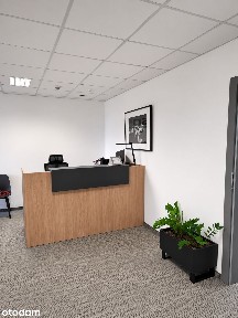 Nowoczesny lokal biurowy 392,20 m², 10 gabinetów, parter