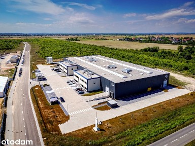 Hala na wynajem Brzeg 2000 m² + magazyn | produkcja | biuro | tir |