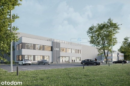 Hala magazynowa w Dąbrowie 7000 m²