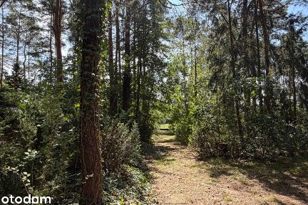 Tuchlin, dom letniskowy na działce 1172 m2