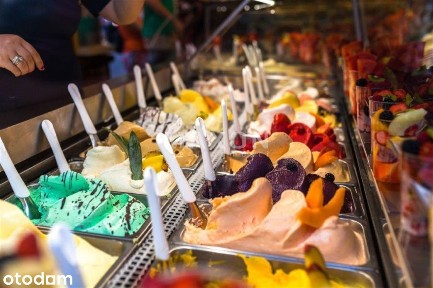 Wolnostojący lokal usługowo - gastronomiczny