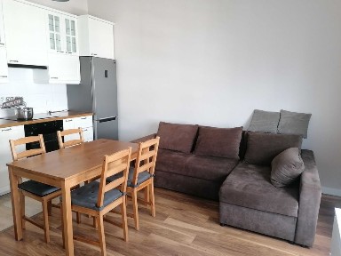 Mieszkanie na wynajem Jana Kazimierza, Wola
