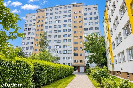 5 pokoi | 82,9 m² | 9. piętro | Ostatni Grosz