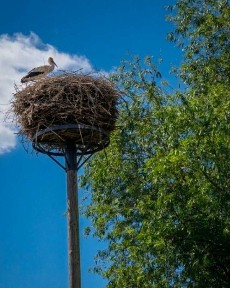 Siedlisko dom ziemia na sprzedaż