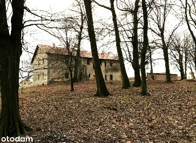 PAŁAC DO REMONTU POD HOTEL, DOM SENIORA LUB SPA woj. OPOLSKIE