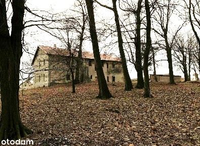 PAŁAC DO REMONTU POD HOTEL, DOM SENIORA LUB SPA woj. OPOLSKIE
