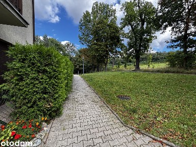 Mieszkanie 2-pokojowe ciche, suche, po remoncie, obok centrum i lasu