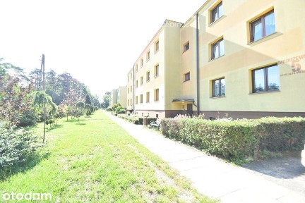 Mieszkanie w otulinie lasów.