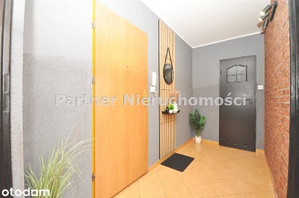 2 Pokoje gotowe do wprowadzenia, centrum, piwnica