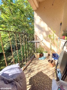 OKAZJA-3POKOJE WŚRÓD ZIELENI-OGRZEWANIE MIEJSKIE-5 MIN DO RYNKU-BALKON
