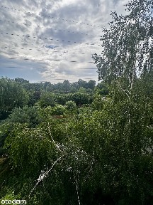 Wyjątkowe mieszkanie w Ząbkach Duży taras Zieleń 2 garaże. 2 komórki