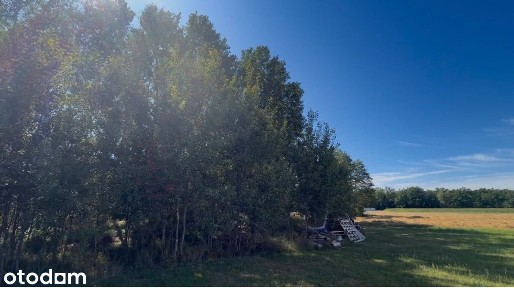 Dom na sprzedaż, 167 m², 5 pokoi Zambrów Grabówka