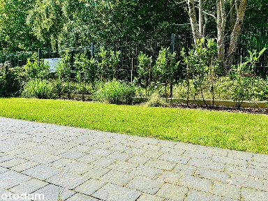Jastrzębia Góra Nowy Luksusowy Apartament (2-pok) + ogród (700m plaża)