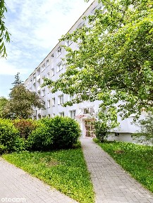 3 pokoje po remoncie | Balkon | Rataje | Blisko tramwaj