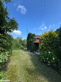 Działka 2500 m², dom ze stodołą i starodrzewem - ul. Szpitalna 114