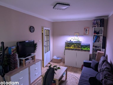 Wynajmę 2 pokojowe mieszkanie w Poznaniu