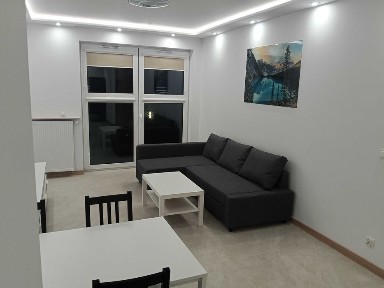 Wynajmę nowe mieszkanie 1 piętro 48m