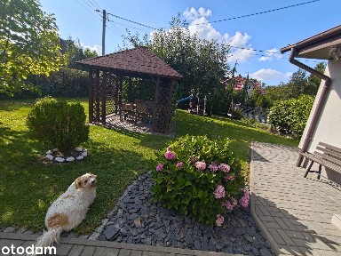 Dom 90m2 z pięknym ogrodem do zamieszkania w wygodnej okolicy Piekar