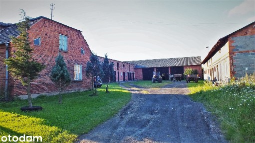 DOM GOSPODARSTWO Rolne k. KALISZA 6,5 ha. Magazyn-