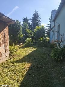 Przy lesie - bez sąsiadów | duży potencjał | 0,20 ha | 650 000 zł