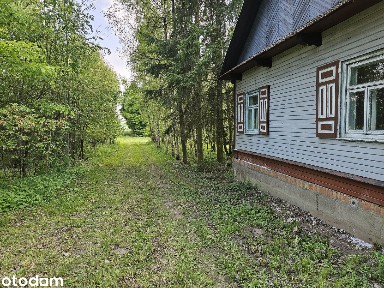 Dom na kolonii bez sąsiadów z własnym lasem w lesie z małym Strumykiem