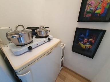 Studio apartament kawalerka centrum Krakowa - ul. Chopina