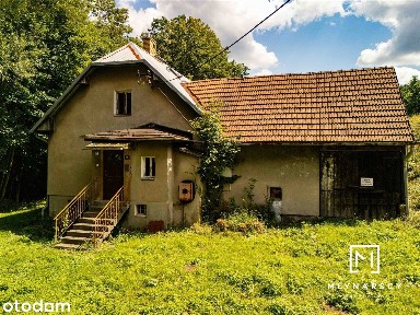 Dom | ponad 1ha terenu | zielona okolica