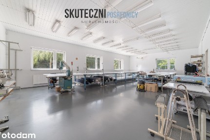 Żeromskiego, Koluszki, łódzki wschodni, łódzkie