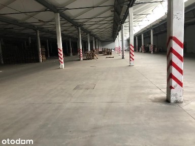 Kompleks magazynowo przemysłowy 8 498 m² - Tomaszów Mazowiecki