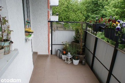 Mieszkanie 32m² z balkonem w doskonałej lokalizacji - ul. Podgórna