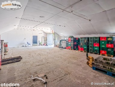 Lokal, 256.0 m², Olkusz