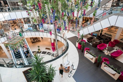Galeria Nowy Świat w Rzeszowie - lokal do wynajęcia.