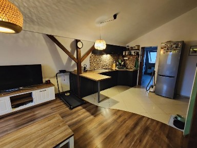 Mieszkanie Zielony Romanów 54m