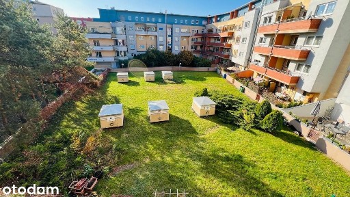 ul. Wietrzna, Krzyki, Wrocław, dolnośląskie