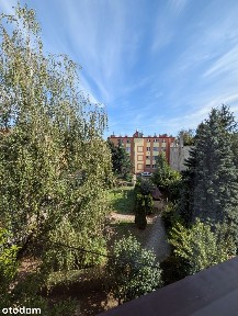 Jasne 39 m² + piwnica 12 m² | Św. Jana / Kraszewskiego | bez prowizji