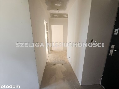 Paczyna, Toszek, gliwicki, śląskie