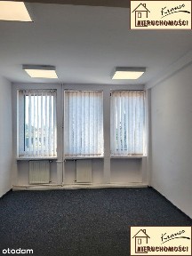 Grunwald, Centrum, Stare Miasto, Poznań, wielkopolskie