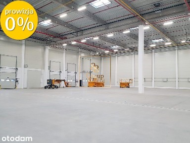 Magazyn 11800 m2 Konotopa od zaraz